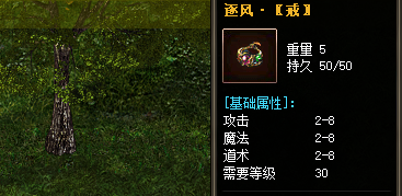 追风戒指装备截图展示 追风戒指装备截图展示