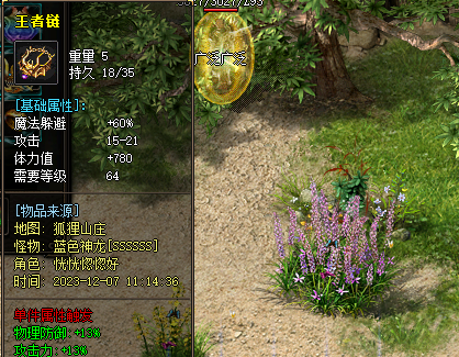 王者项链 王者项链