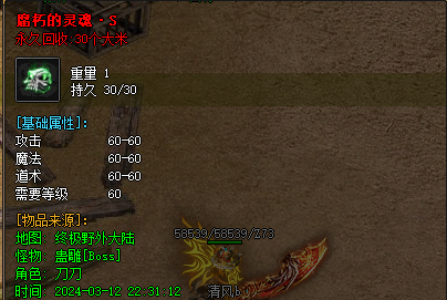 腐朽的灵魂装备截图