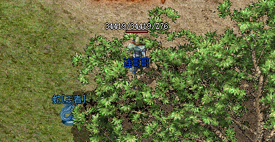 网通传奇私服游戏截图