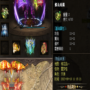 攻击魔法道士11-11佛法战镯：独一无二之物