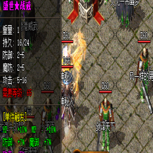 盛世戒指为何战士职业穿戴会减少防御？解答你的疑惑