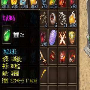 为何法师职业不能使用玄武神石？法师职业装备选择受限